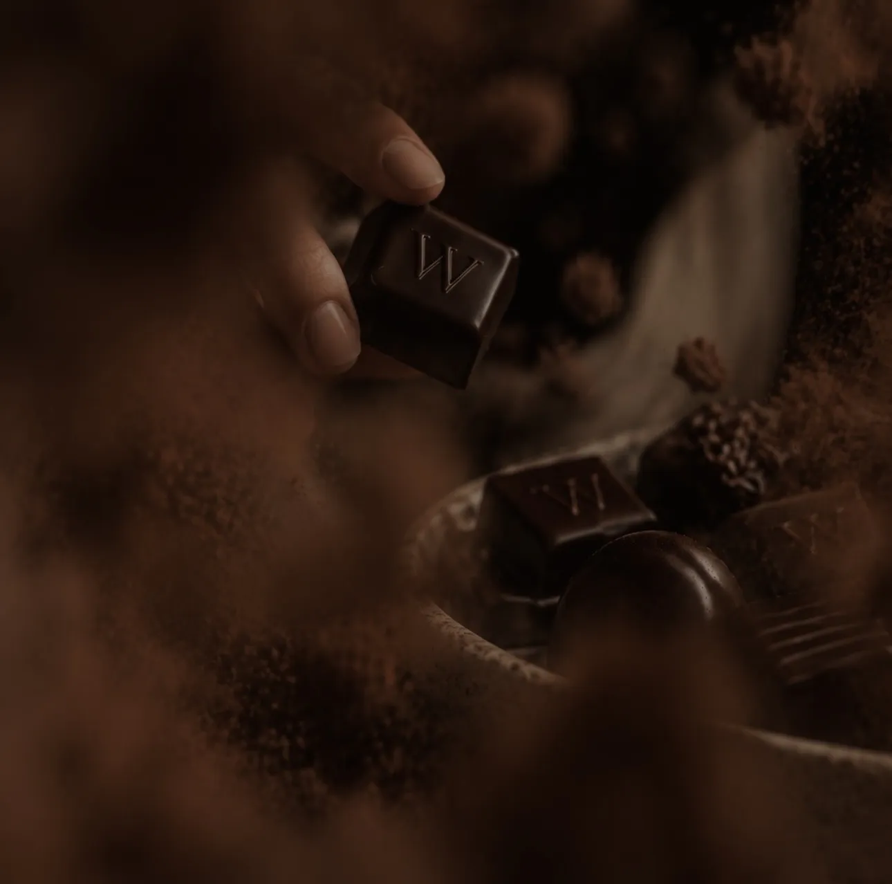 cacao.woshe