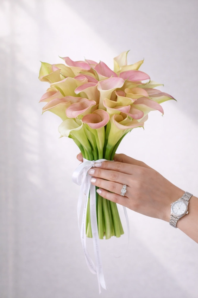 01b39bf0-ccaa-4b84-8159-d2639121e12c_324012398