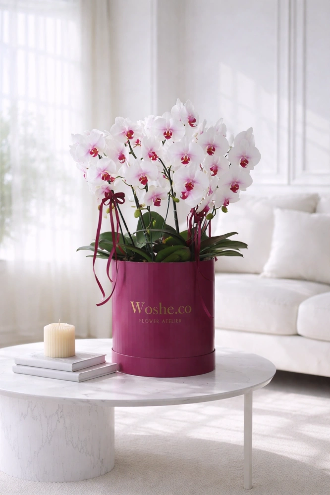 12a9c44d-5890-48ff-94a6-f6e773bf6ac7