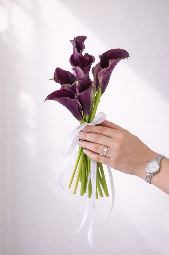 612368b3-c619-41d4-837d-9918454b54dc