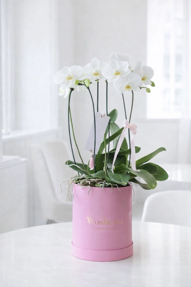 7fb3246c-72d4-4c5d-8d4e-21b53641004a