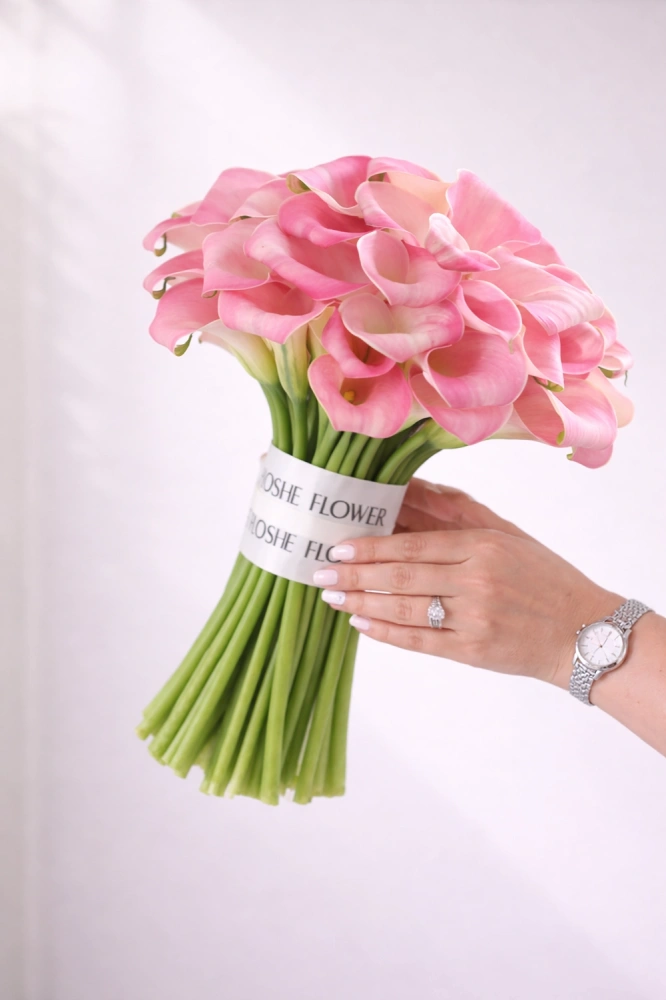 af17db12-ccca-4e6b-aead-b969ab8f43dd