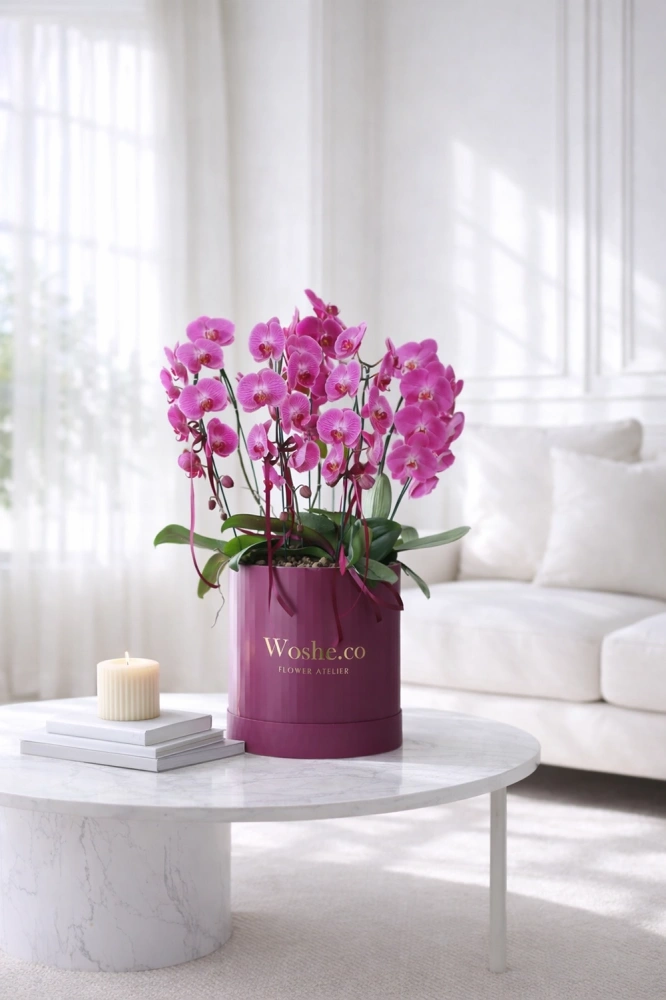 eed4ce92-5999-467b-b6dd-a792ce8e23be_1