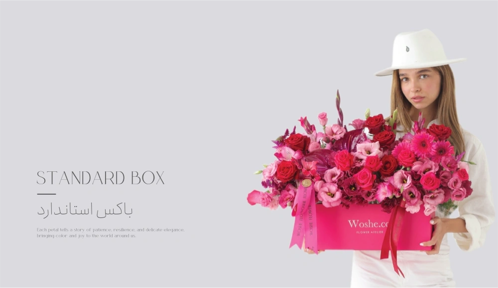 new_banners_copy_-_copy-31