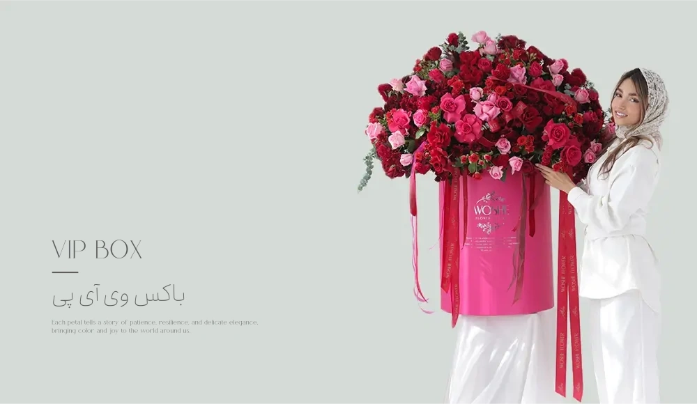 new_banners_copy_-_copy-34