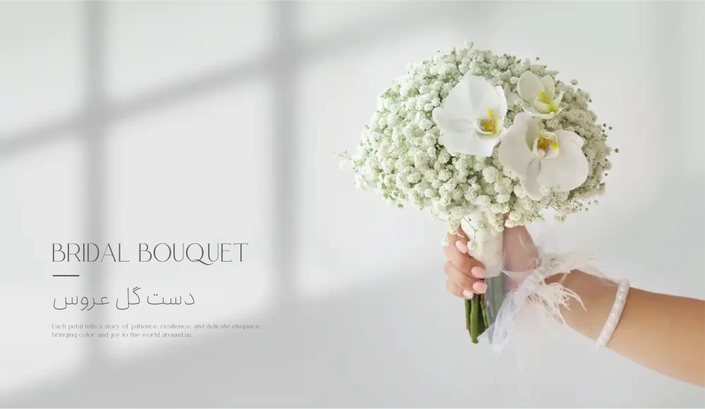 new_banners_copy_-_copy-35_1